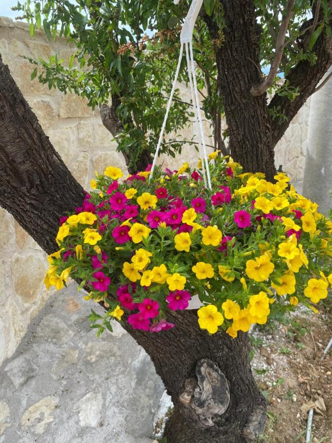 Iris Holiday Home Trbounje Екстериор снимка